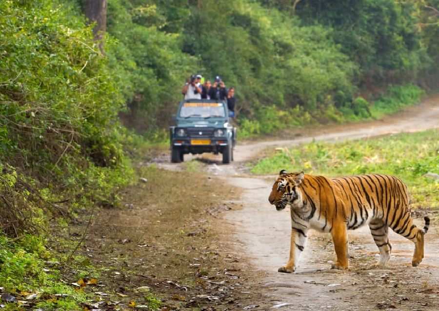 Jim Corbett
